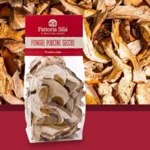 Funghi Porcini
